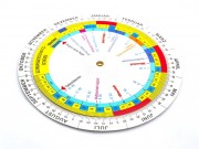 Schwangerschaftskalender und Schwangerschaftsrechner: SSW ...